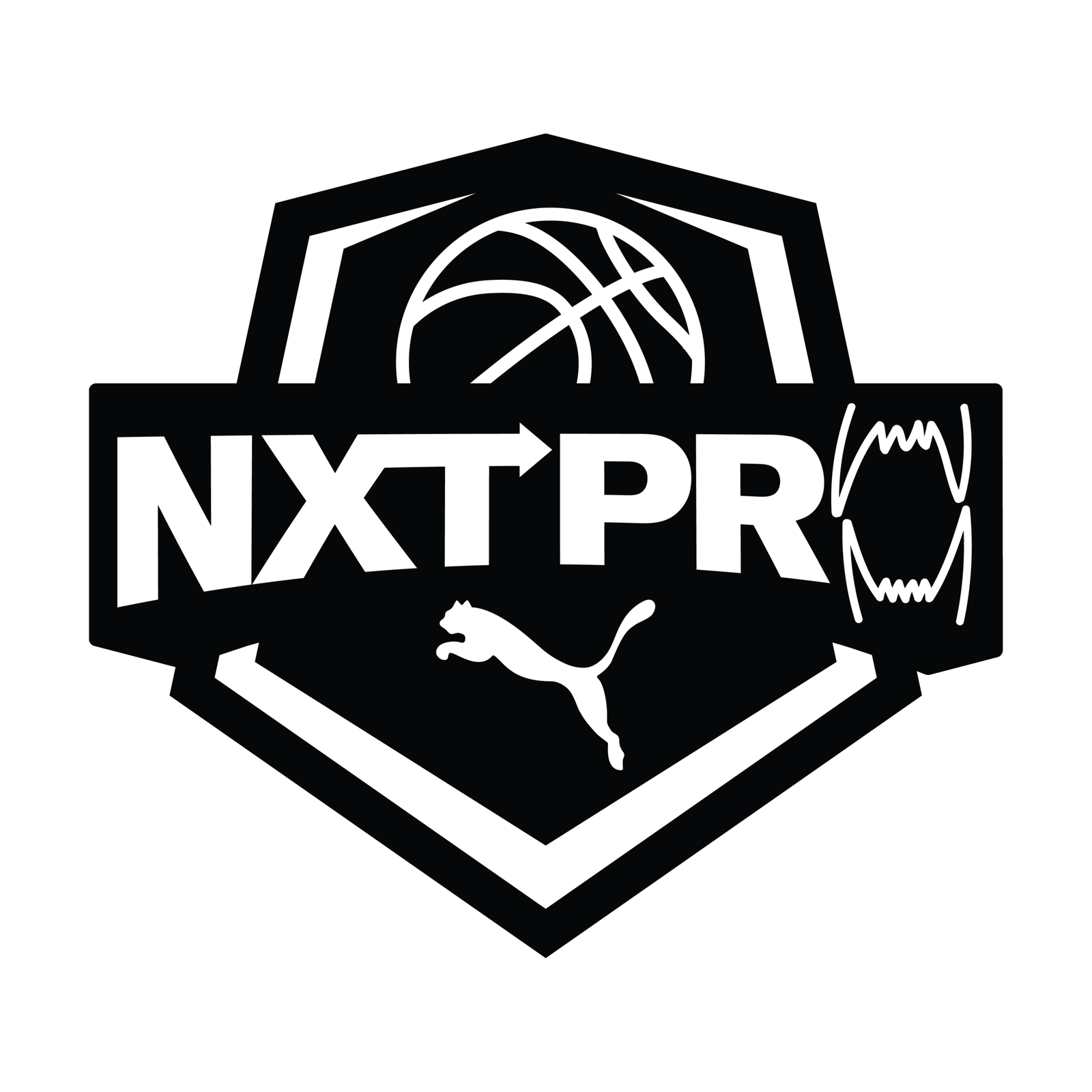 NxtPro